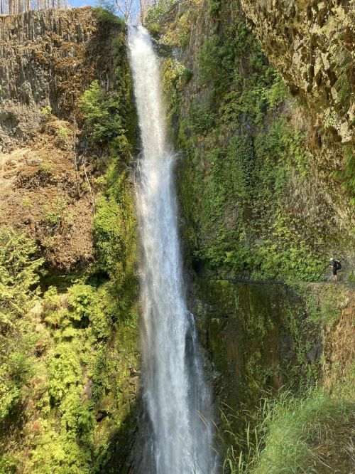 A tall waterfall cascades down a rocky cliff, surrounded by lush greenery and moss-covered rocks.