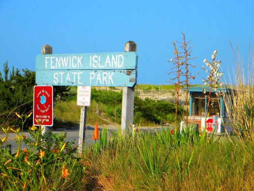 Sign for Fenwick Island State Park surrounded by grass and flowers, with a clear blue sky in the background.