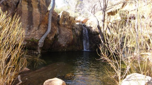 A serene natural scene featuring a small waterfall cascading into a tranquil pool surrounded by rocks and trees.