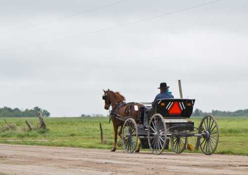 A person in a black hat rides in a horse-drawn carriage along a dirt road in a grassy landscape.