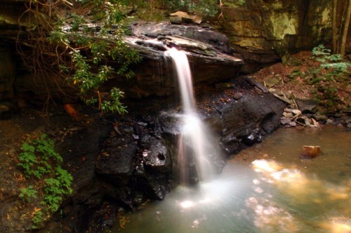 A serene waterfall cascades over rocks into a calm pool, surrounded by lush greenery in a tranquil forest setting.