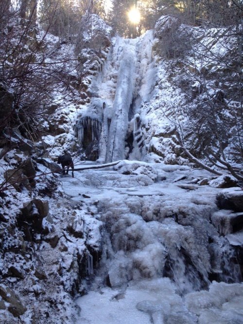 A frozen waterfall surrounded by snow-covered rocks and trees, with sunlight peeking through the forest.