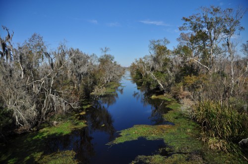 A serene waterway surrounded by trees and lush greenery under a clear blue sky.