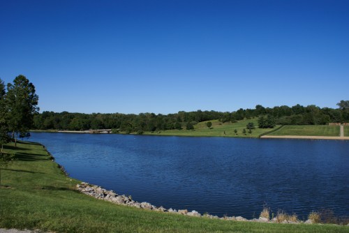 A serene lake surrounded by green trees and grass under a clear blue sky.