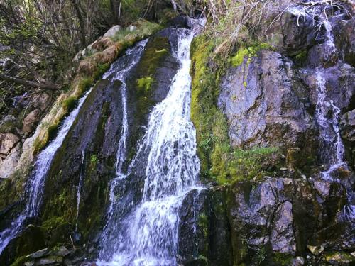 A cascading waterfall flows over moss-covered rocks, surrounded by lush greenery.