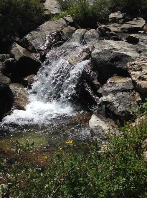 A small waterfall cascades over rocks, surrounded by greenery and wildflowers in a natural setting.
