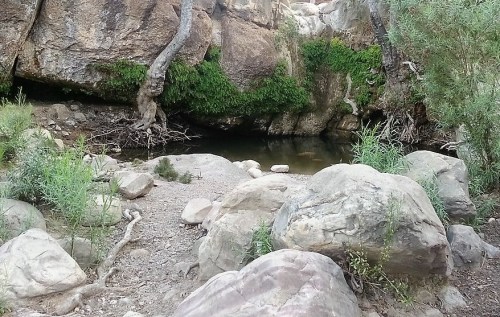 A serene natural scene featuring a rocky area with a small pool of water surrounded by greenery and large boulders.