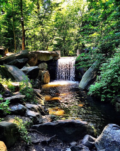 A serene waterfall cascades over rocks into a calm pool, surrounded by lush green trees and foliage.