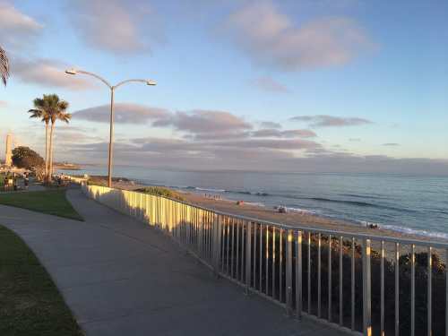 A peaceful beach scene with a walkway, palm trees, and gentle waves under a cloudy sky.