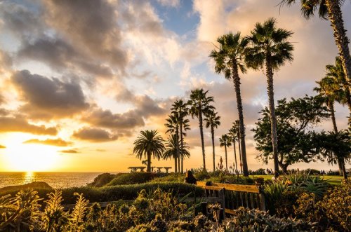 A sunset over the ocean, framed by palm trees and lush greenery, creating a serene coastal scene.