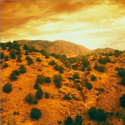 Golden-hued landscape with rolling hills and scattered shrubs under a dramatic sky.