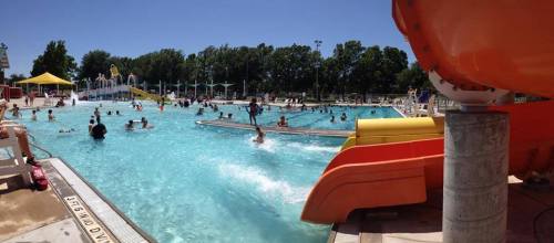 A sunny outdoor pool scene with people swimming, playing, and enjoying water slides. Lush trees in the background.