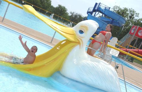 A child slides down a pelican-shaped water slide while another child stands on top, both enjoying a water park.
