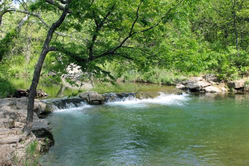 A serene river flows over rocks, surrounded by lush green trees and vegetation in a peaceful natural setting.