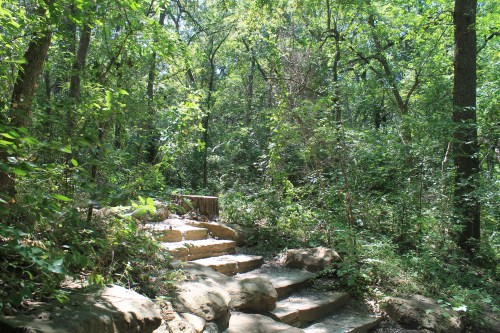 A sunlit forest path with stone steps leading through lush greenery and trees.