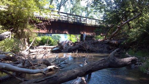 A rustic bridge spans a serene creek, surrounded by lush greenery and fallen logs in a tranquil natural setting.