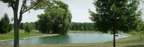 A serene park scene featuring a calm pond surrounded by trees and lush green grass under a clear sky.