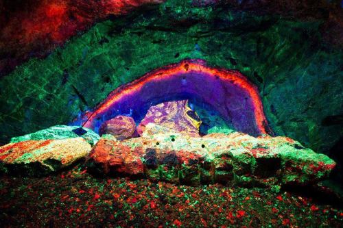 A vibrant cave interior with colorful rock formations and a glowing arch, illuminated in shades of red, green, and purple.