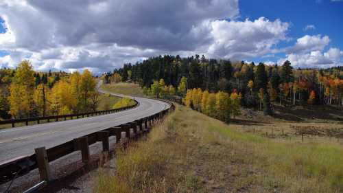 Winding road through vibrant autumn trees under a blue sky with fluffy clouds.