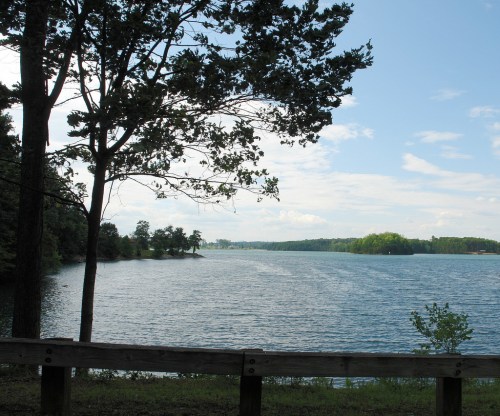 A serene lake view framed by trees, with calm waters and a cloudy sky in the background.