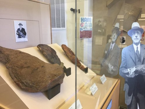 Display case featuring large hams, a photo of a man holding a ham, and a cutout of a man in a suit and hat.