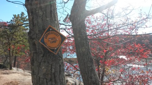 A sign on a tree reads "Connecticut State Land," surrounded by colorful autumn foliage and a lake in the background.