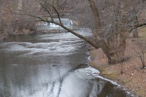 A serene river scene with a waterfall, bare trees, and a bank lined with fallen leaves in a tranquil setting.