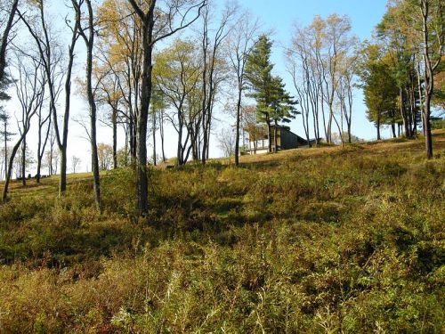 A hillside with sparse trees and tall grass, featuring a small building in the background under a clear blue sky.