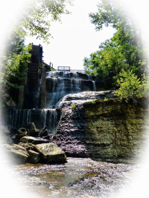 A serene waterfall cascading over rocks, surrounded by lush greenery and a stone with the name "Jelly King" inscribed.
