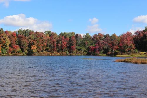 A serene lake surrounded by vibrant autumn foliage under a clear blue sky.