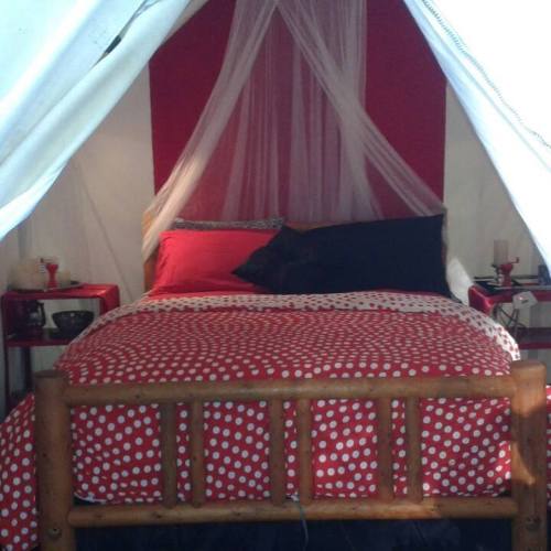 Cozy bedroom with a red polka dot bedspread, wooden bed frame, and soft drapes creating a tent-like atmosphere.