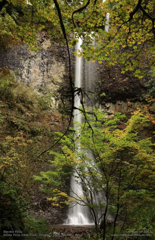 A waterfall cascades down rocky cliffs, surrounded by lush green trees and autumn foliage in a serene forest setting.