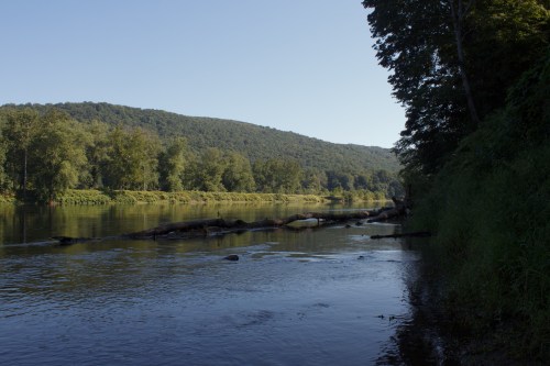 A serene river scene with a calm water surface, surrounded by lush greenery and distant hills under a clear blue sky.