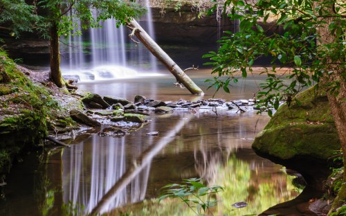 A serene forest scene featuring a waterfall, a fallen tree, and reflections in calm water surrounded by lush greenery.