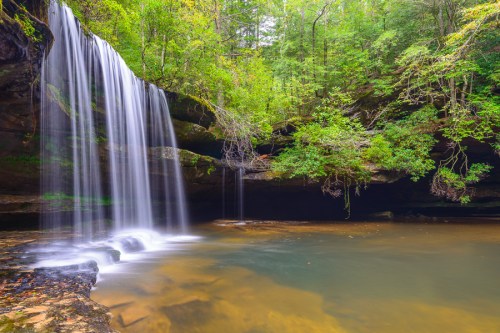 A serene waterfall cascades into a tranquil pool, surrounded by lush green trees and rocky terrain.