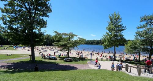 A sunny beach scene with people enjoying the water and sand, surrounded by trees and a clear blue sky.