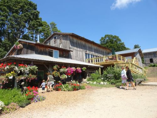 A rustic wooden building surrounded by colorful flowers, with people walking and enjoying the sunny day.