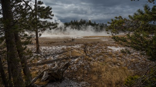 A misty landscape with steam rising from the ground, surrounded by trees and dry grass under a cloudy sky.