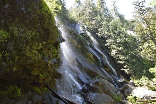 A serene waterfall cascading down rocky cliffs, surrounded by lush green trees and sunlight filtering through the foliage.