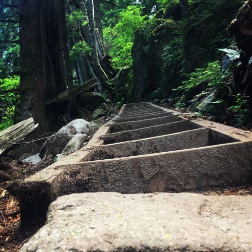 A winding stone staircase leads through a lush, green forest with tall trees and rocky terrain.