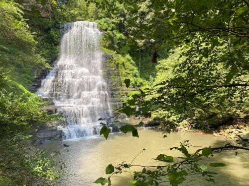 A serene waterfall cascading into a calm pool, surrounded by lush green foliage and trees.