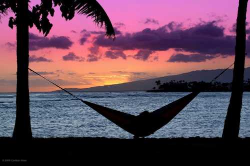 Silhouette of a hammock between palm trees at sunset, with vibrant pink and purple skies over the ocean.