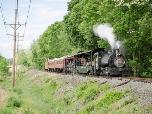 A steam locomotive with a passenger car travels along a tree-lined railway track on a sunny day.