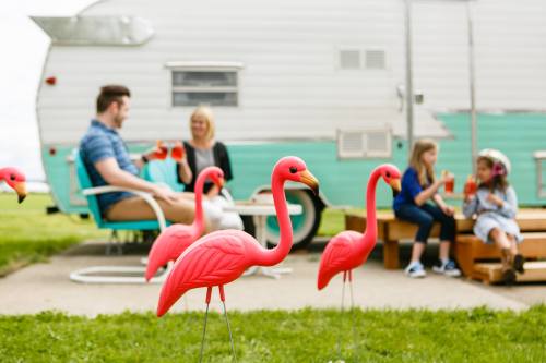 A group of people relaxes near a vintage trailer, surrounded by pink flamingo lawn ornaments and enjoying drinks.
