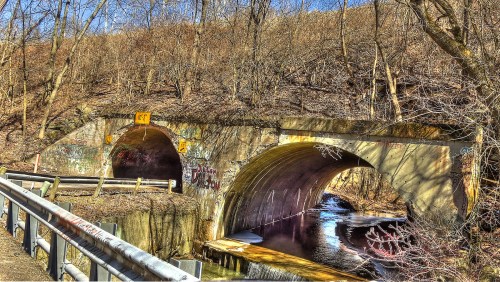 Two arched concrete tunnels under a hillside, surrounded by bare trees and graffiti, with a road alongside.