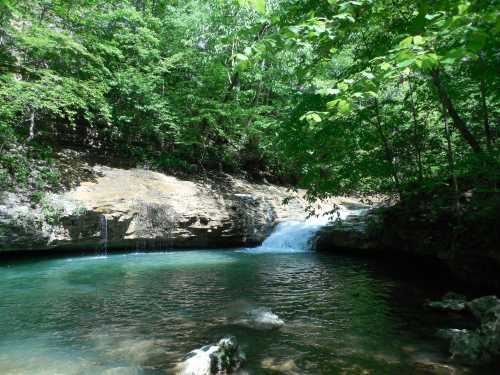 A serene forest scene featuring a clear blue pool and a small waterfall surrounded by lush green trees.