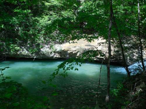 A serene river flows through a lush green forest, with rocky banks and sunlight filtering through the trees.