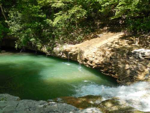 A serene natural scene featuring a clear green pool surrounded by rocky edges and lush green trees.