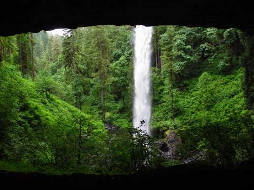 A waterfall cascades down surrounded by lush green trees and foliage, viewed from a cave opening.