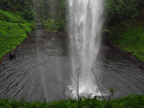 A waterfall cascades into a serene pond surrounded by lush greenery and trees.